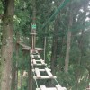 「フォレストアドベンチャー・軽井沢」で高原の森と遊ぼう！